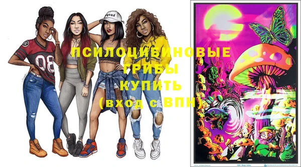 Альфа ПВП Алзамай
