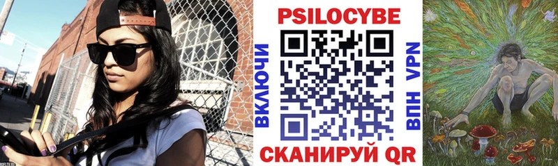 Купить закладки  Воронеж  Галлюциногенные грибы Psilocybine cubensis 